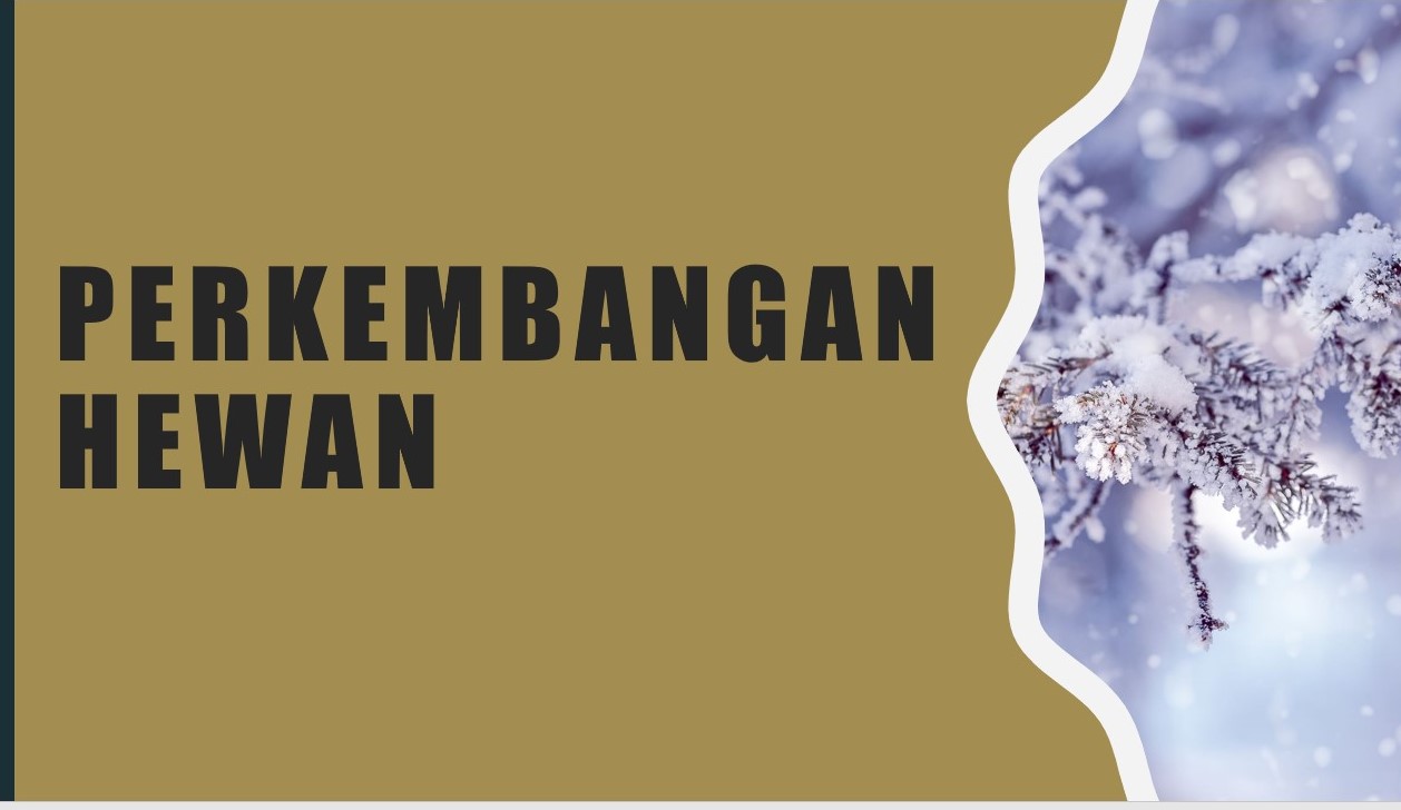 Perkembangan Hewan